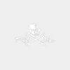 Skull & Boards Decal