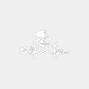 Skull & Boards Decal