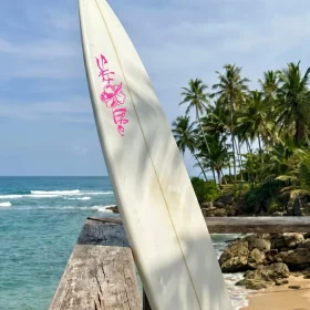 Signature Hibiscus Decal